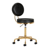 Rollhocker Höhenverstellbar mit Lehne H5 Gold Schwarz