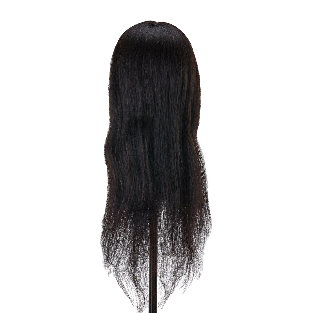Frisierkopf Gabbiano WZ1 Echthaar 42 cm Schwarz - Bild 4